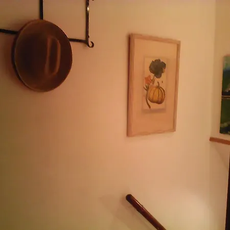 Apartment Lola Encorts Valencia